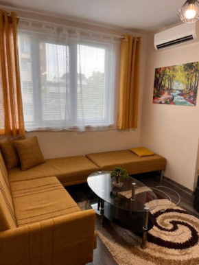 D&T cozy apartment